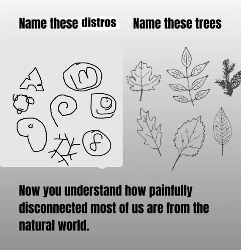 Name These Distros and Trees