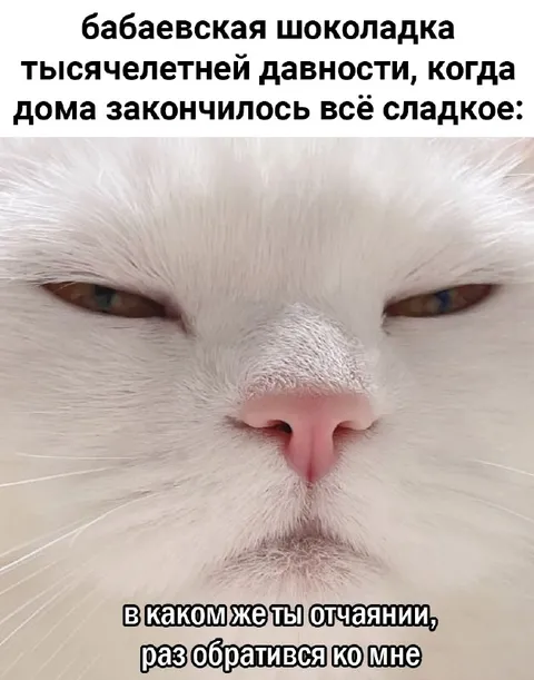 Бабаевская шоколадка закончилась