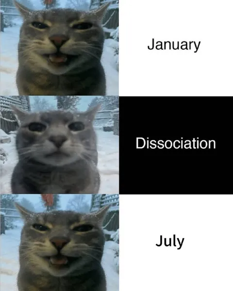 January Dissociation July Cat