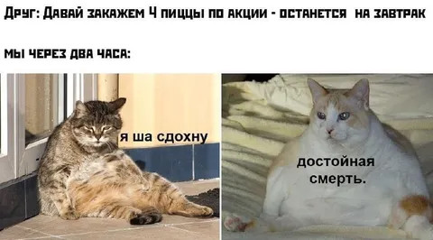Пицца на завтрак