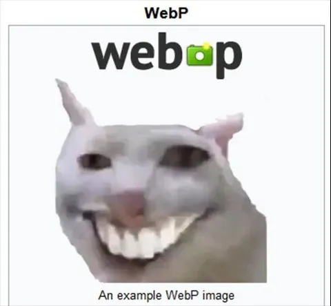 Terrifying WebP Example