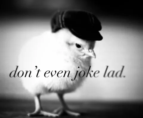 Don't Even Joke Lad Chick