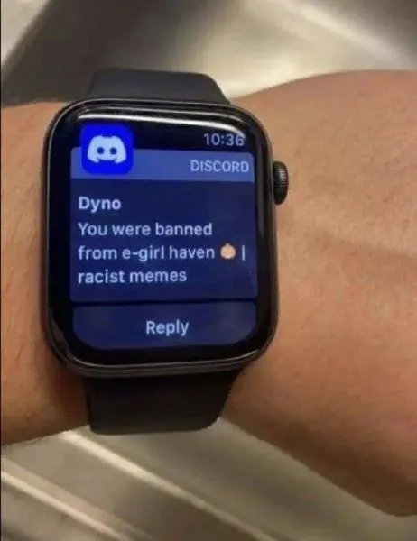 Banned for Racist Memes