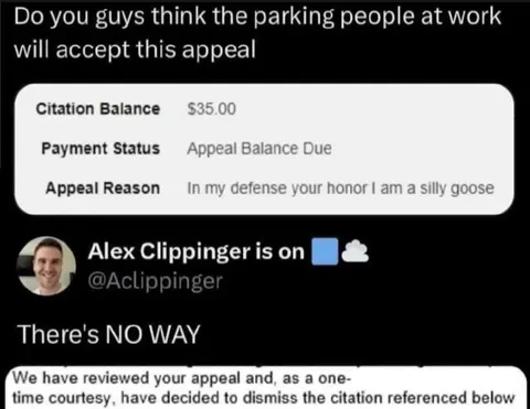 Silly Goose Parking Appeal