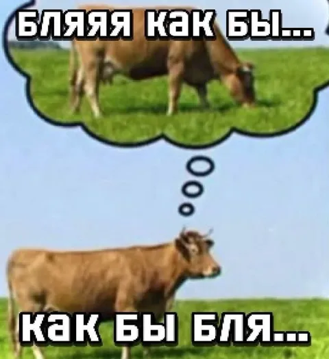 Корова вспоминает как было