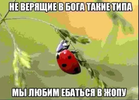 Божья коровка и неверующие