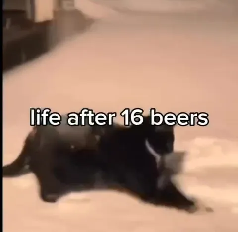 Life After Sixteen Beers