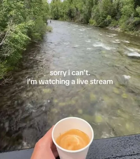 Watching a Live Stream