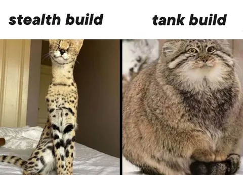 Stealth Build vs Tank Build
