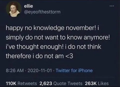 Happy No Knowledge November