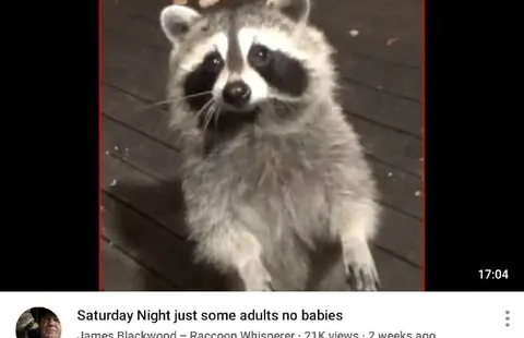 Saturday Night No Babies
