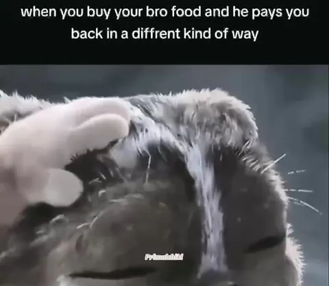 When Your Bro Pays You Back