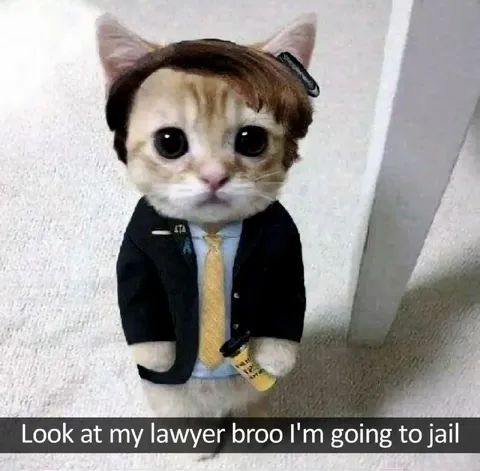 Lawyer Cat Going to Jail