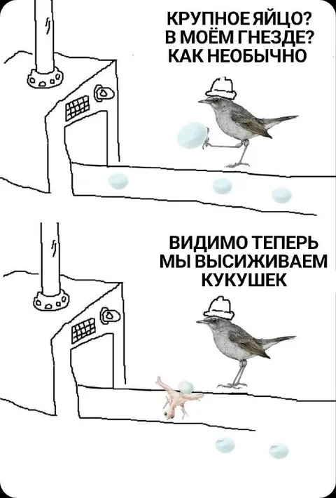 Птица высиживает кукушек
