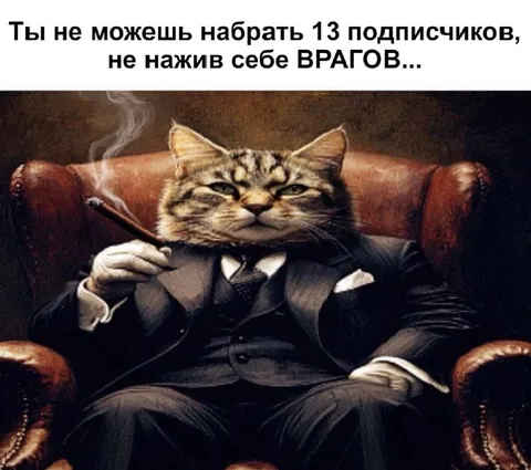 Кот набирает врагов и подписчиков