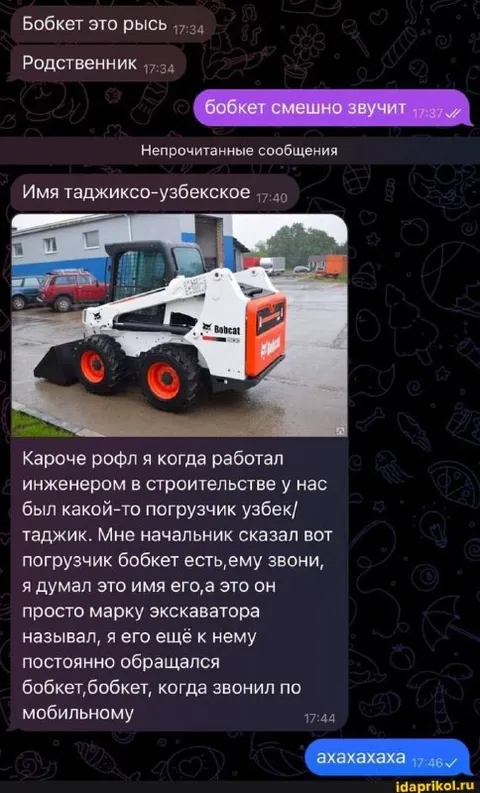 Бобкет оказался погрузчиком