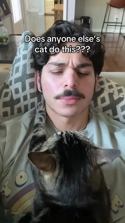 Does Anyone Else’s Cat Do This?