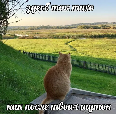Тишина после твоих шуток