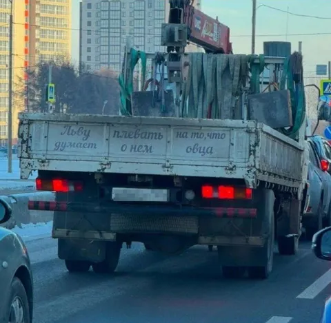 Тобу думает, плевать на овца