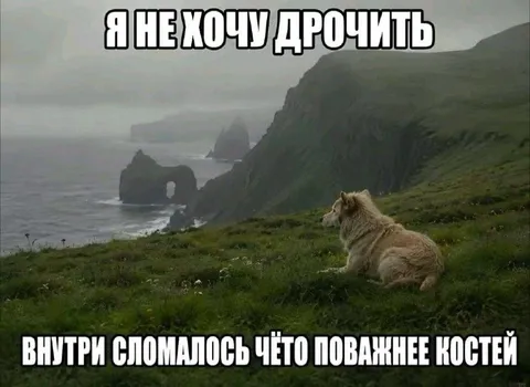 Что поважнее костей