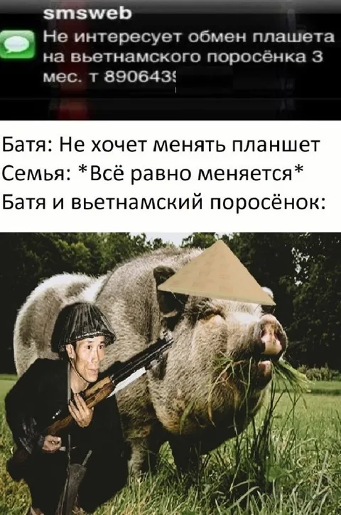 Батя и вьетнамский поросёнок
