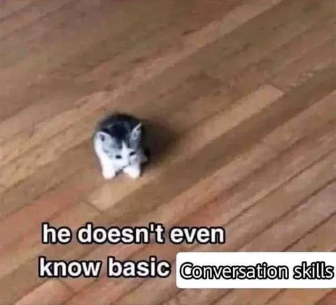 Cat Lacks Conversation Skills