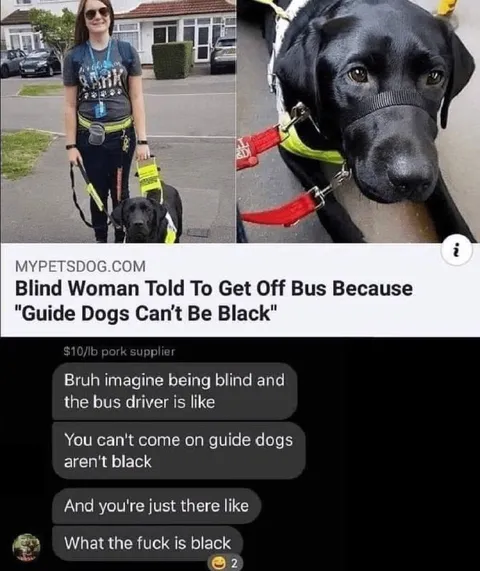 Black Guide Dog Confusion