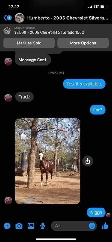 Horse Trade Gone Wrong