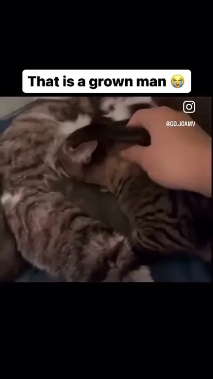 That Is a Grown Man