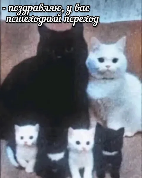 Поздравляю, у вас переход