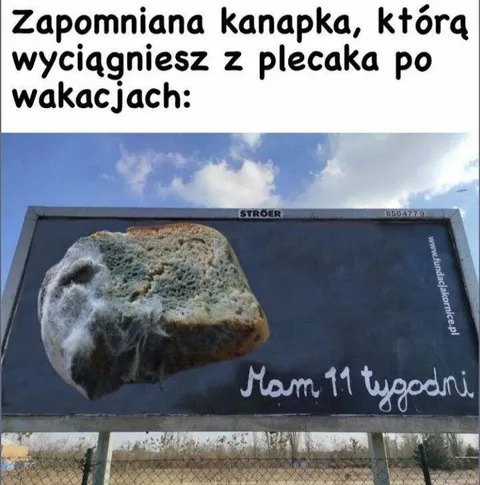 Zapomniana kanapka po wakacjach