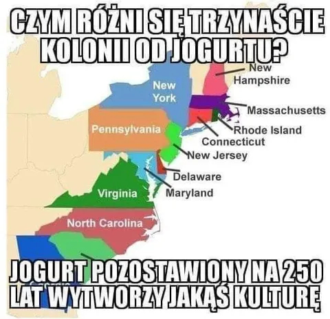 Jogurt i trzynaście kolonii