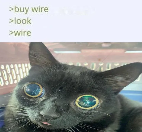 Buy Wire Look Wire Cat