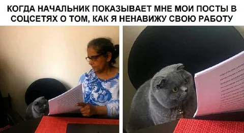Начальник показывает посты о ненависти к работе