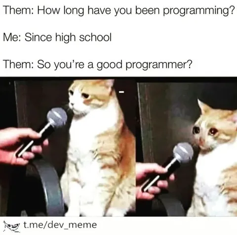Since High School Programmer