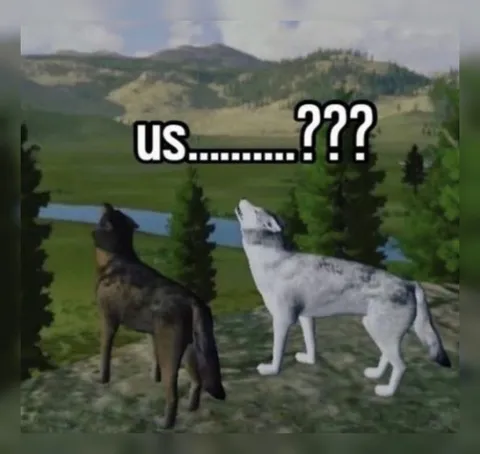 Two Wolves Howling Together
