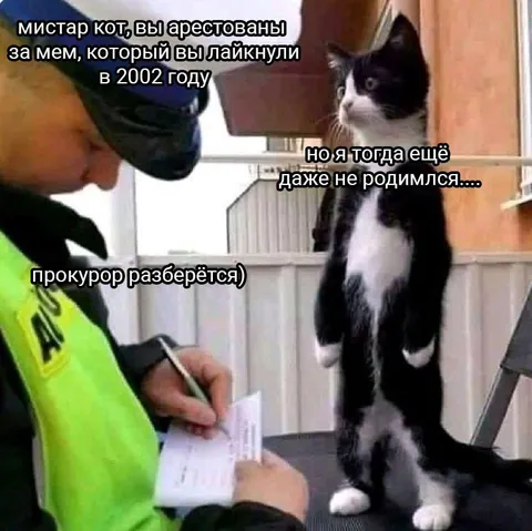 Кот арестован за лайк