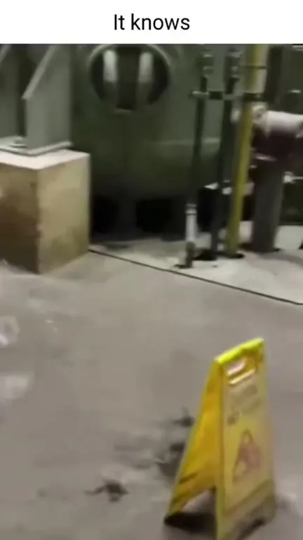It Knows the Floor Is Wet