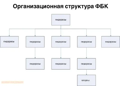 Организационная структура ФБК