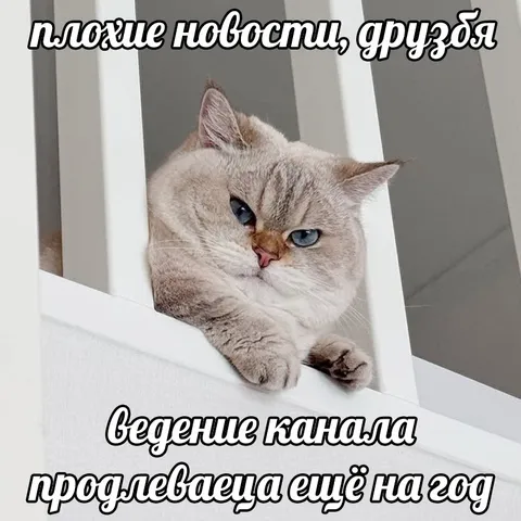 Плохие новости про ведущие канала