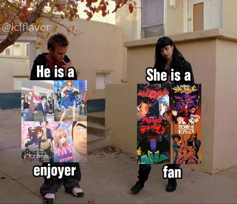 Anime Enjoyer vs Anime Fan