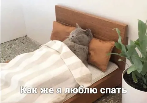 Как же я люблю спать