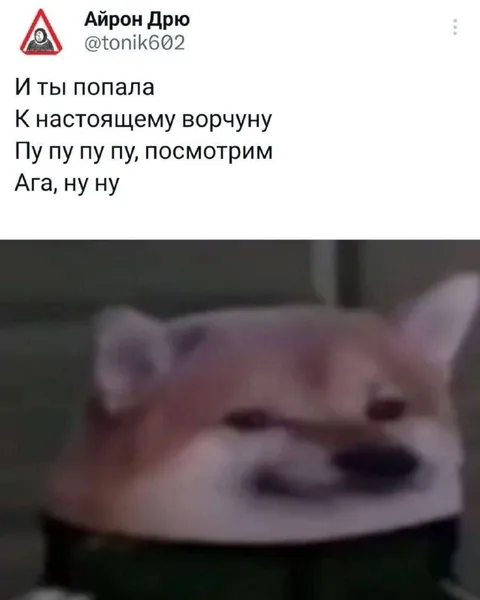 Настоящий ворчун-кот