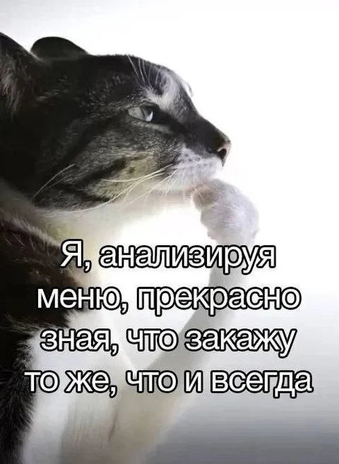 Кот заказывает как всегда