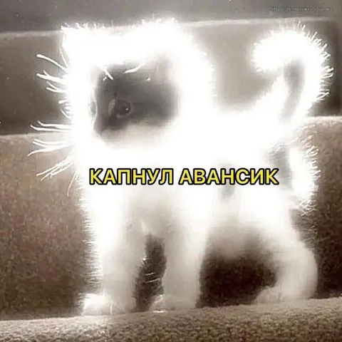 Капнул авансик