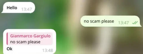 No Scam Please Conversation