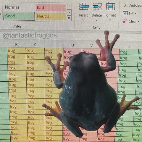 Frog Spreadsheet Overload