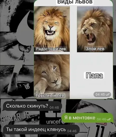Виды львов от папы