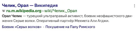 Челик Орал — Википедия