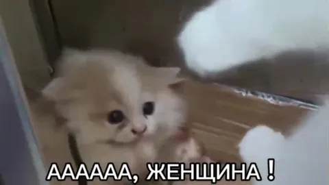 ААААА, ЖЕНЩИНА!